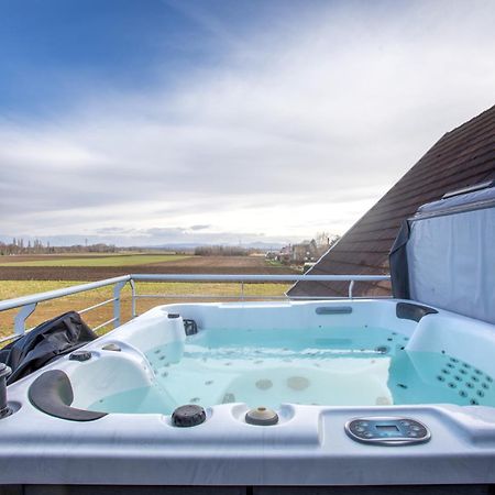 Esplanade Home Private Spa Jacuzzi Sauna Parking, Colmar Muntzenheim Eksteriør bilde